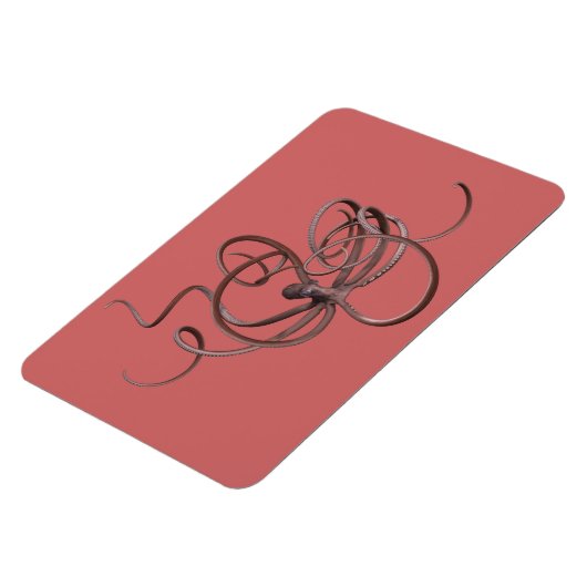 巨大タコ マグネット (左側)