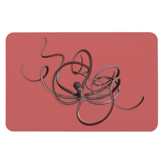 巨大タコ マグネット (横)