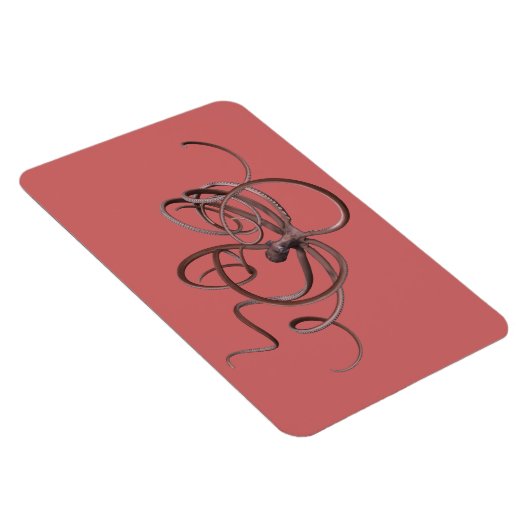 巨大タコ マグネット (右側)