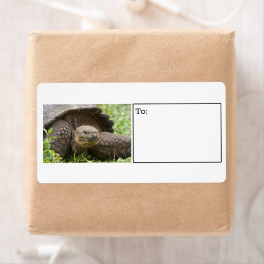 巨大タートルラベル ラベル (インサイチュ)