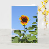 巨大ヒマワリ-ハッピーグリーティングカード カード (黄色い花)