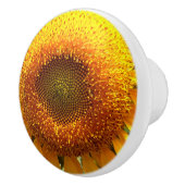 巨大マンモス黄色ひまわり セラミックノブ (右)