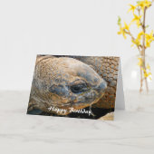 巨大亀 カード (黄色い花)