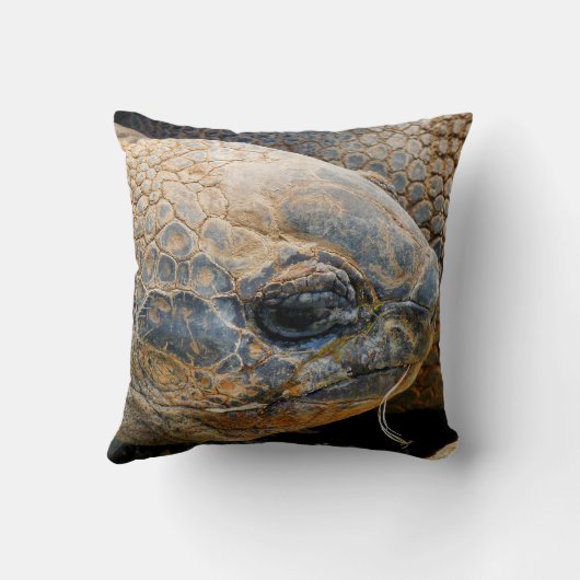 巨大亀 クッション (裏面)