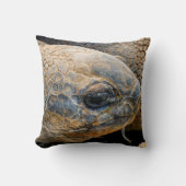 巨大亀 クッション (正面)