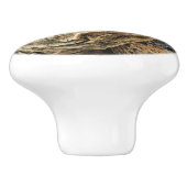 巨大亀 セラミックノブ (側面)