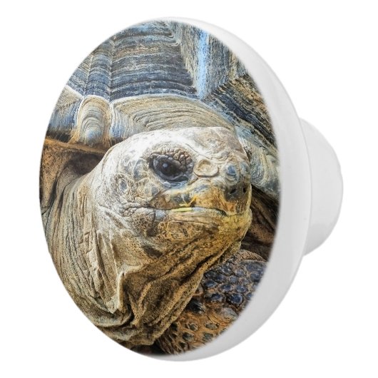 巨大亀 セラミックノブ (右)