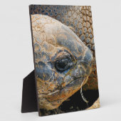 巨大亀 フォトプラーク (側面)