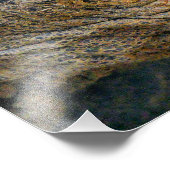 巨大亀 フォトプリント            (角)