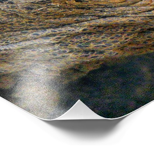 巨大亀 フォトプリント            (角)