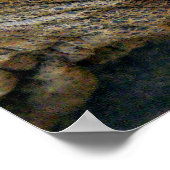 巨大亀 ポスター (角)