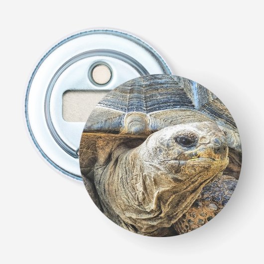 巨大亀 栓抜き (正面)