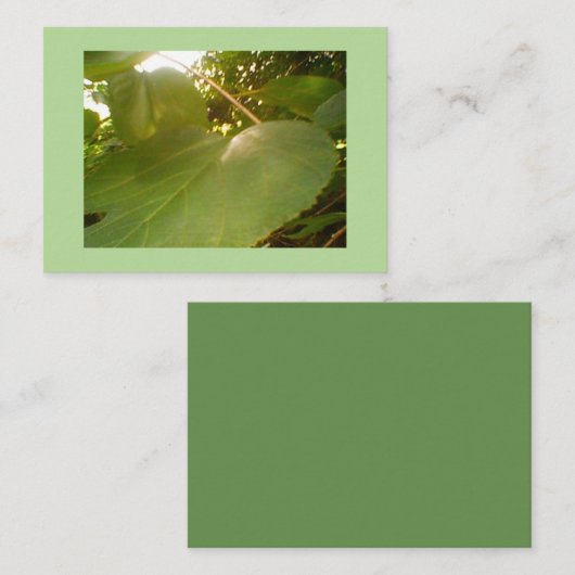 巨大桑の葉 名刺 (正面/裏面)