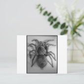 巨大食べ物鳥のクモ ポストカード (スタンド正面)