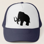 巨大 キャップ (正面)