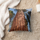 巨星セコイア上昇 クッション (ブランケット)