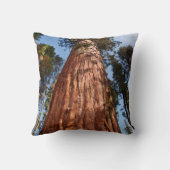 巨星セコイア上昇 クッション (裏面)