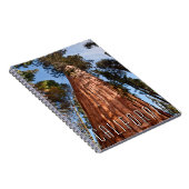 巨星セコイア上昇 ノートブック (右側)