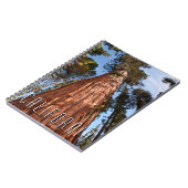 巨星セコイア上昇 ノートブック (左側)