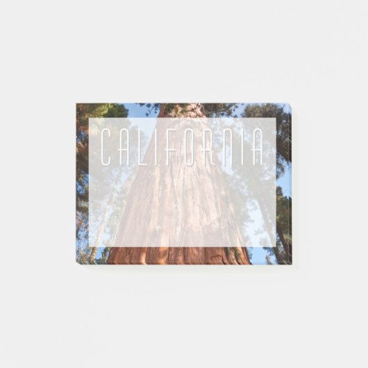 巨星セコイア上昇 ポストイット (正面)