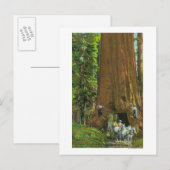 巨木の下の馬車 ポストカード (正面/裏面)