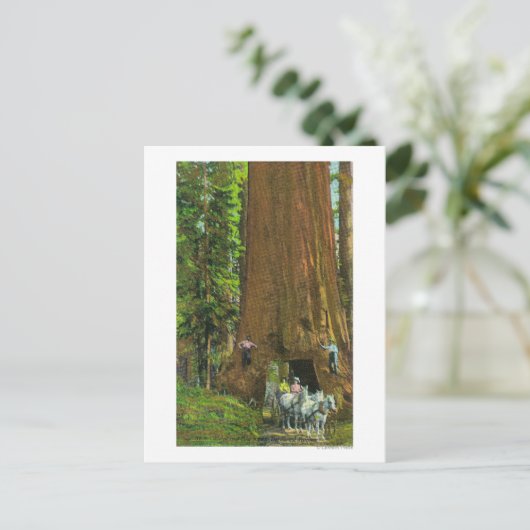 巨木の下の馬車 ポストカード (スタンド正面)