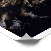 巨木 – セコイア国立公園 ポスター (角)