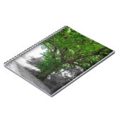 巨木 ノートブック (左側)