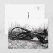 巨落ちた人、木兵、自然/荒野 ポストカード (正面/裏面)