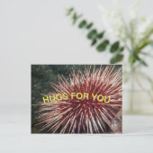 巨赤海ウニ – ポストカード (スタンド正面)