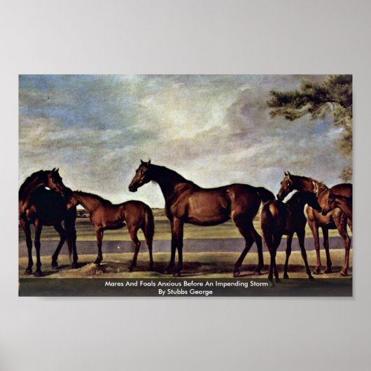 差し迫った嵐の前で心配する手や足 ポスター (正面)