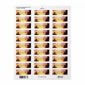 差出人住所ラベルのアリゾナの日没 ラベル (フルシート)