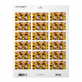 差出人住所ラベルサンフラワーブタ ラベル (フルシート)