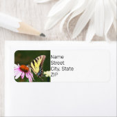 差出人住所ラベルタイガーアゲハチョウ蝶。 ラベル (インサイチュ)