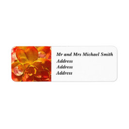 差出人住所ラベル火花 ラベル