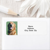 差出人住所ラベル、ゴールデンレトリバー ラベル (インサイチュ)