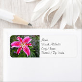 差出人住所ラベル – スターガーザーリリー ラベル (インサイチュ)