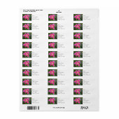 差出人住所ラベル – スターガーザーリリー ラベル (フルシート)