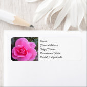 差出人住所ラベル – ピンクローズ ラベル (インサイチュ)