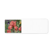 差出人住所ラベル ラベル (正面)