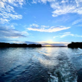 差出人住所ラベル ラベル