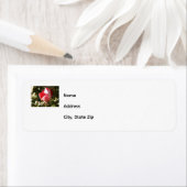 差出人住所ラベル ラベル (インサイチュ)