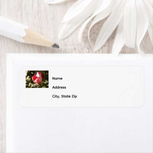 差出人住所ラベル ラベル (インサイチュ)