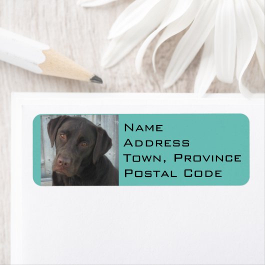 差出人住所ラベル- Chocolate Lab ラベル (インサイチュ)