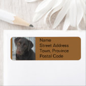 差出人住所ラベル- Chocolate Lab ラベル (インサイチュ)