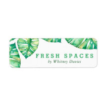 差出人住所熱帯水色モンステラ葉