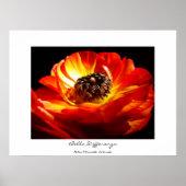 差分（名前あり） ポスター (正面)