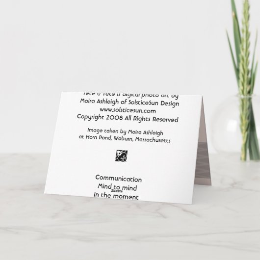 差向い カード (裏面)