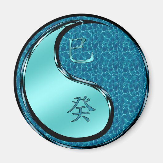 巳 マグネット (正面)