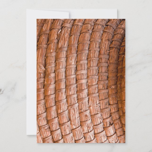 巻きリード (正面)